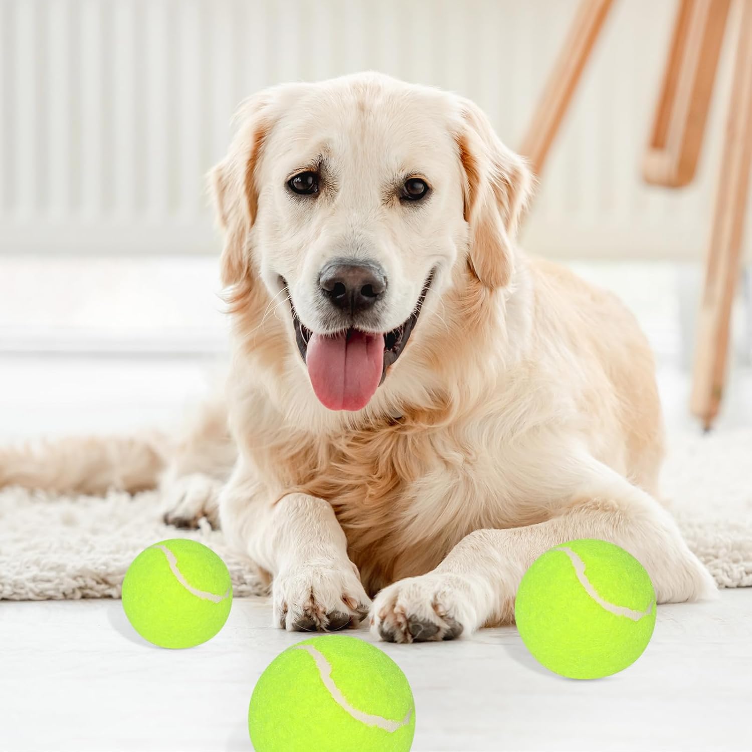 12 Pack Small Dog Tennis Balls, Durable Toy F497