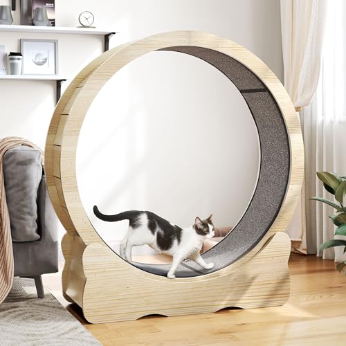 Cat Wheel Exerciser for Indoor Cats, 43.3 Inch Solid Wood with Carpeted Runway K394116