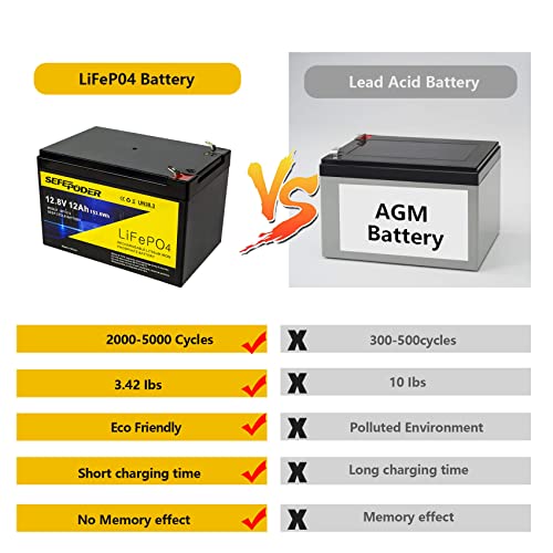 12V 15Ah LiFePO4 Deep Cycle Battery 2 Pack with Built-in 16A BMS D800