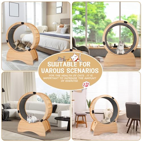 Cat Exercise Wheel - Indoor Wooden Running Wheel for Kitty C405