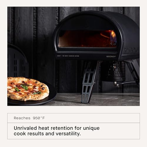 Outdoor Pizza Oven, Portable, Gas & Wood Fired Q221