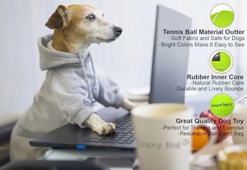 Dog Tennis Balls 2.5" for Exercise and Training with Mesh Bag C5979