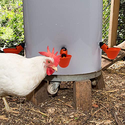 Chicken Drinking Cup for Poultry Watering (36 Pack) A301114