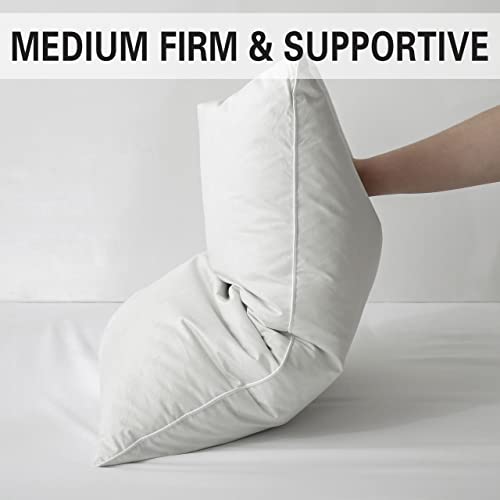Queen Size Down Feather Pillow 2 Pack with Cotton Cover O830679