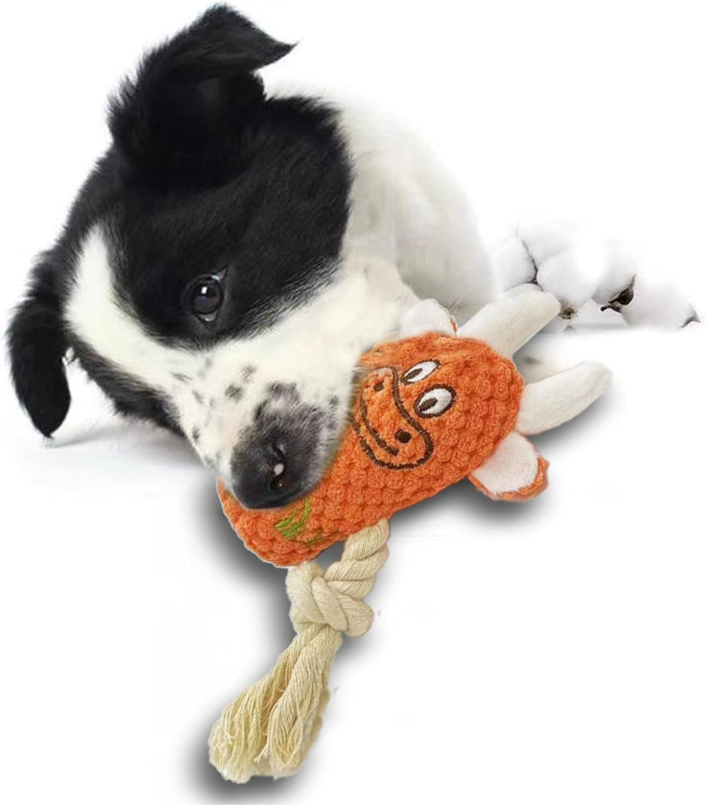 Squeak Plush Dog Toys, 6 Pack Cotton Rope Chew Toys for Puppy and Small Dogs A20076