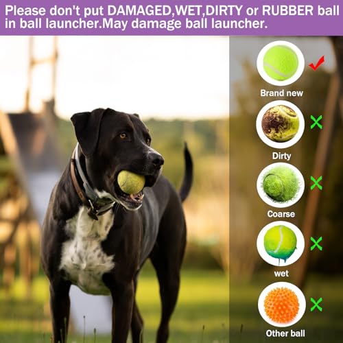 Automatic Dog Ball Thrower Launcher with 10-30ft Distance L458066