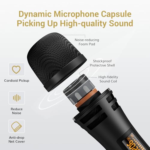 Wireless Microphone System with Receiver for Karaoke and Singing Y613740