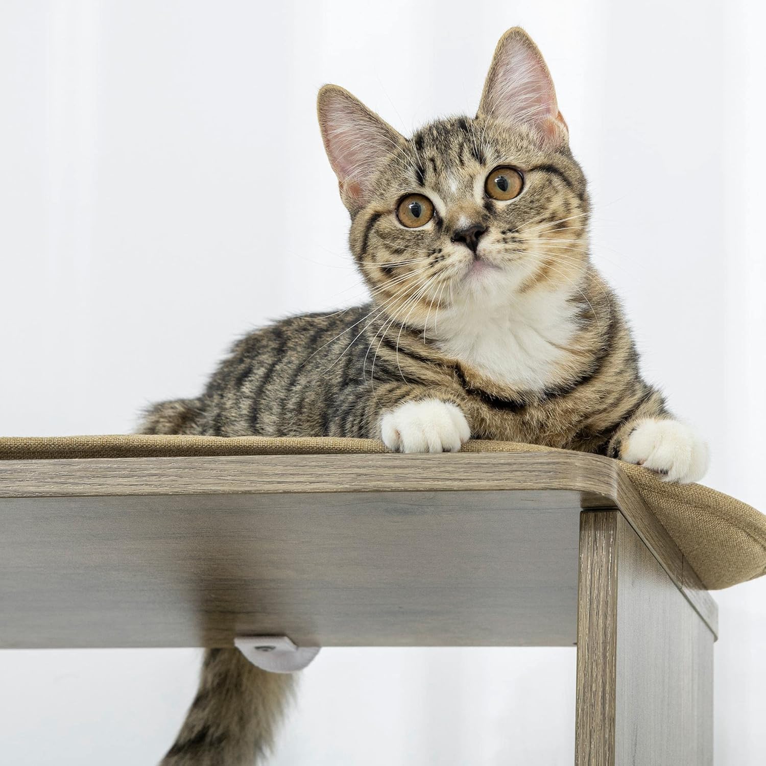 Corner Cat Tree Tall for Climbing with Scratching Posts M902