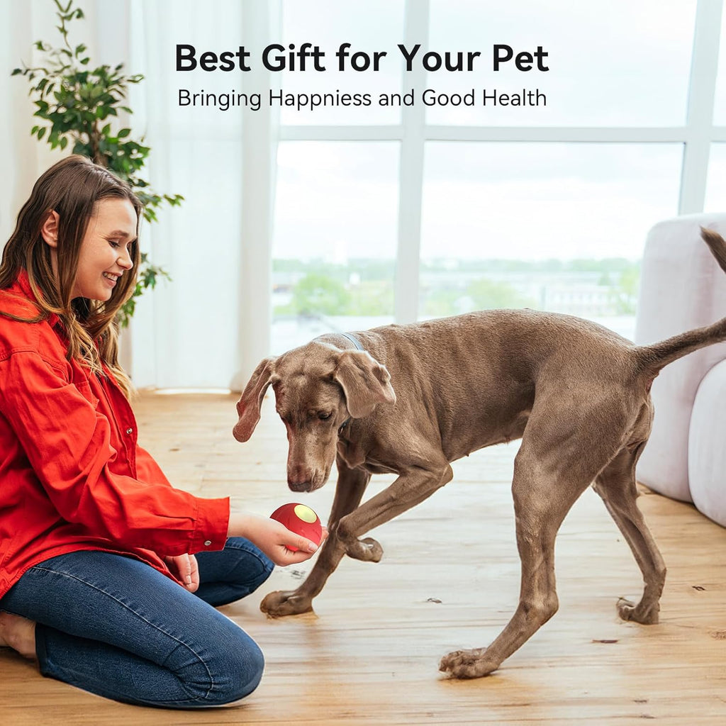 Smart Interactive Dog Toy, Automatic Moving Rolling Ball with LED Lights C106