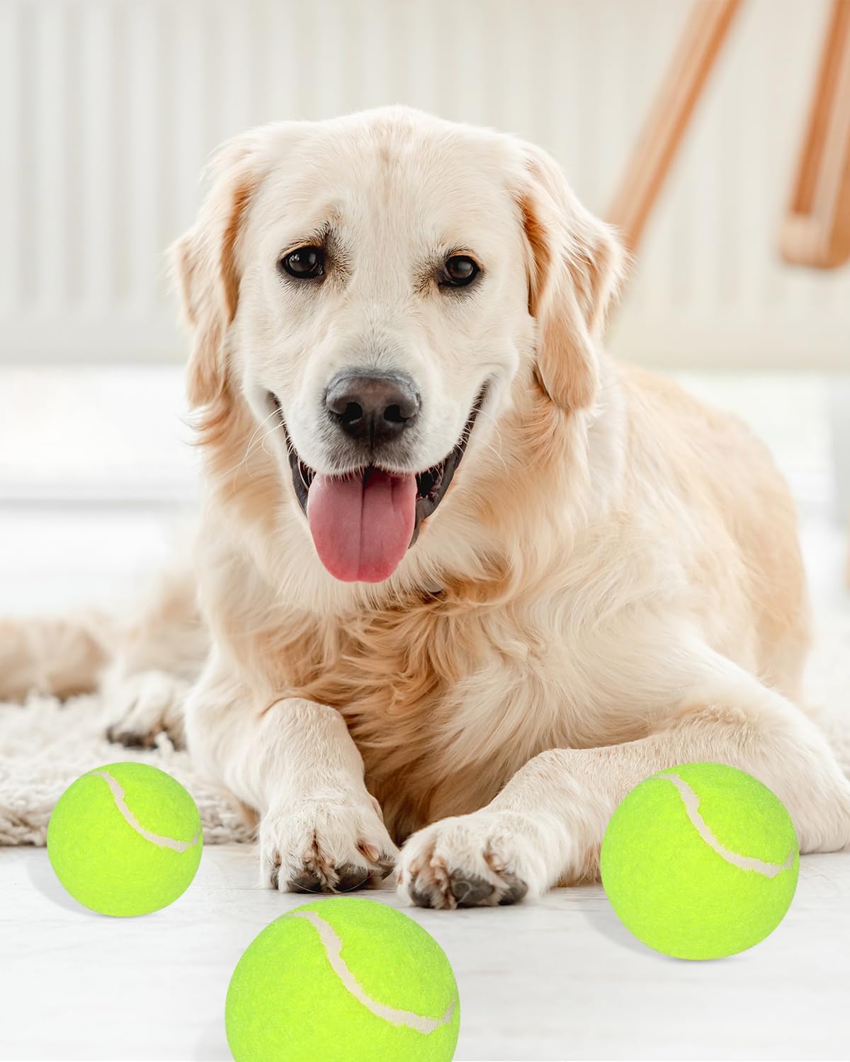 Tennis Balls for Dogs, 2-Inch, for Automatic Ball Launchers, 12 Pack K624634