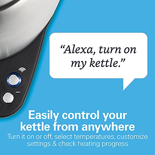 Electric Tea Kettle & Water Boiler, 1.7 Liter, Fast Boiling 1500 Watts, Stainless Steel S633038
