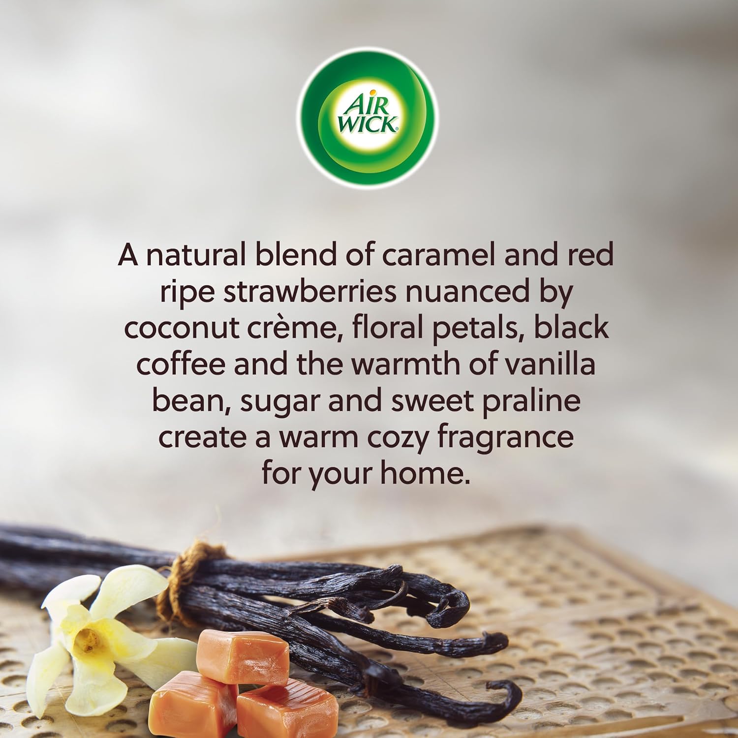 Vanilla & Caramel Scented Oil Plug Refill, 2 ct K9617