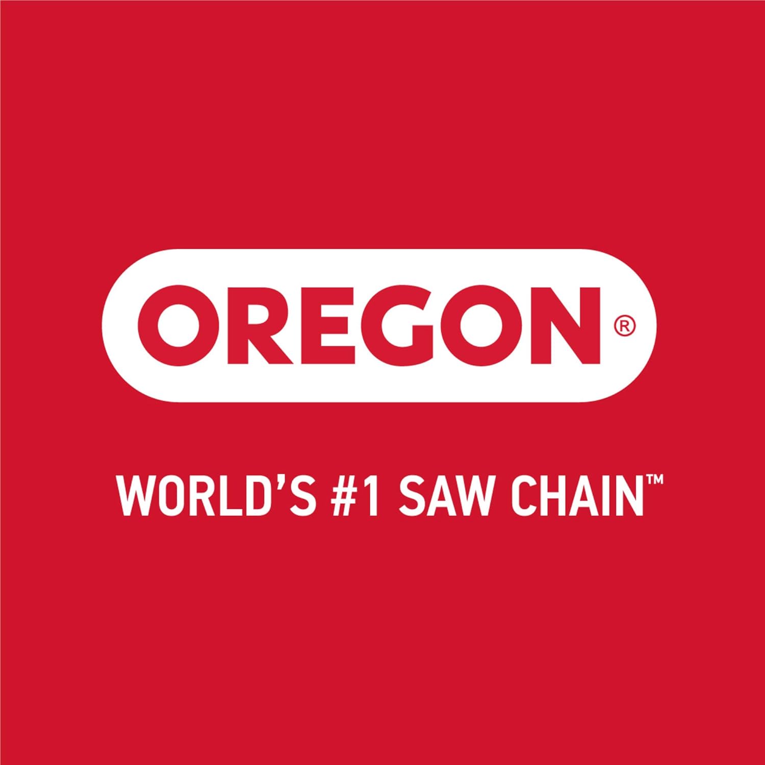 Chainsaw Guide Bar & Chain Combo, 16" (40cm) Low Kickback Chain Set S807