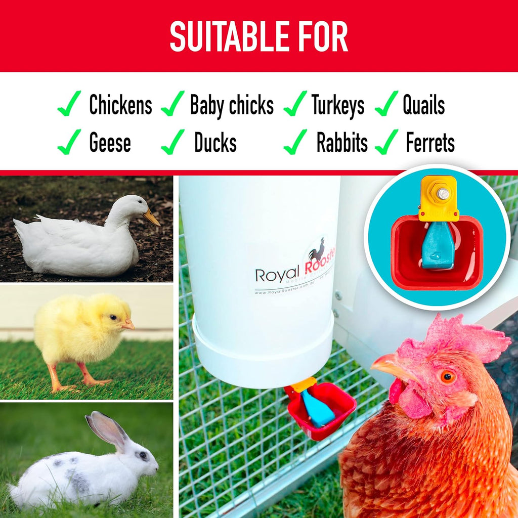 1 Gallon Automatic Chicken Waterer with Gravity-Feed Cup for Indoor and Outdoor Poultry S3919
