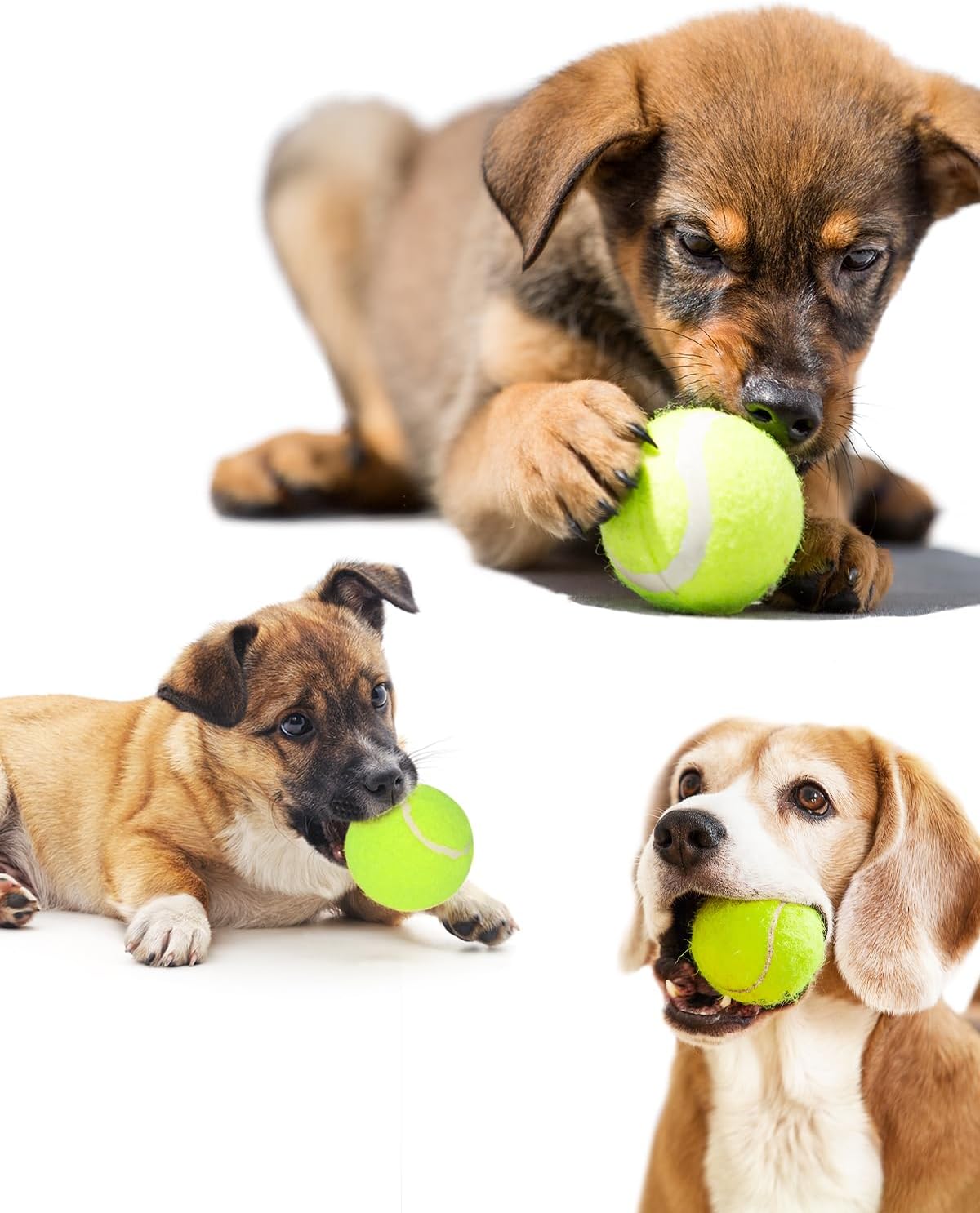 Tennis Balls for Dogs, 2-Inch, for Automatic Ball Launchers, 12 Pack K624634