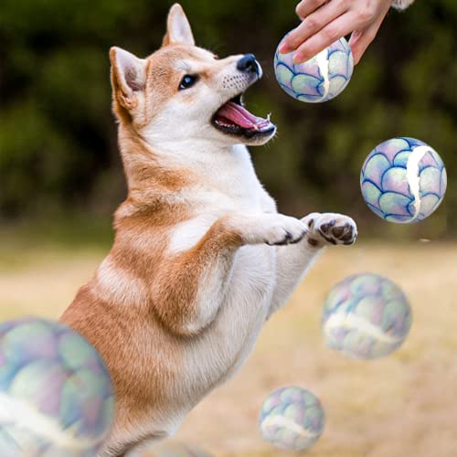 Squeaky Tennis Balls for Dogs, 6 Pack, 2.6" Chew Toys for Exercise and Training Z2631