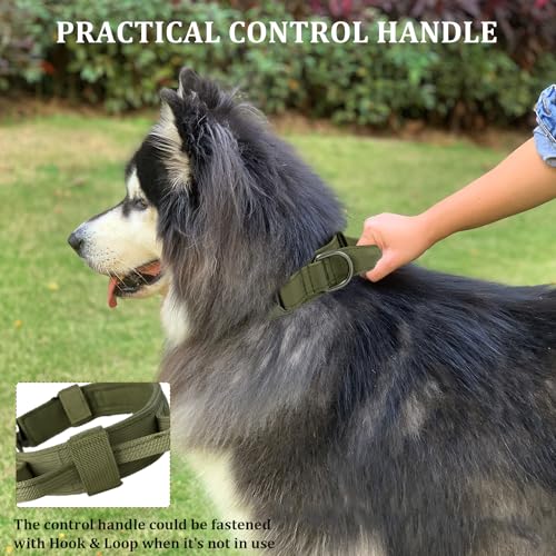 Tactical Dog Collar with Handle and Metal Buckle Y6161