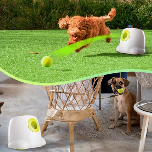 Automatic Ball Launcher for Dogs with 3 Tennis Balls H178976