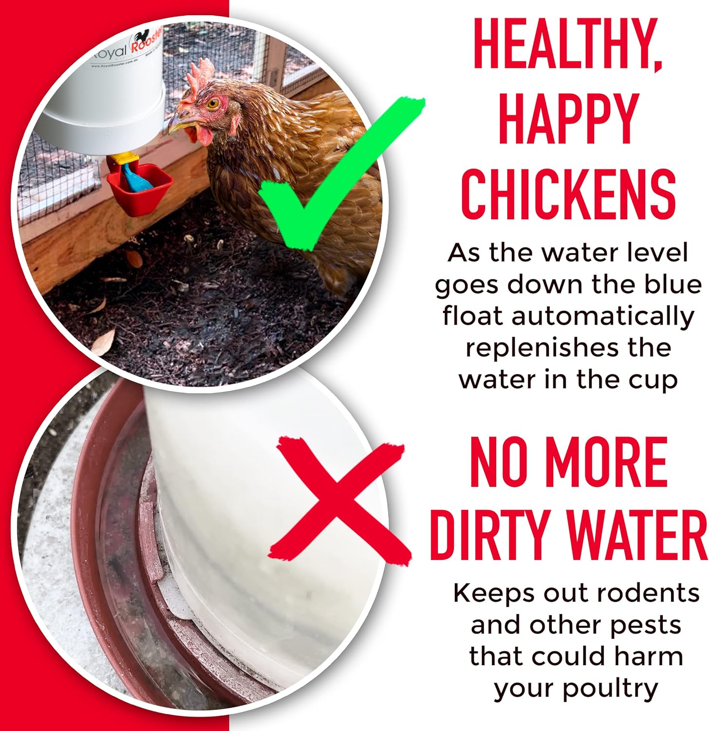 1 Gallon Automatic Chicken Waterer with Gravity-Feed Cup for Indoor and Outdoor Poultry S3919