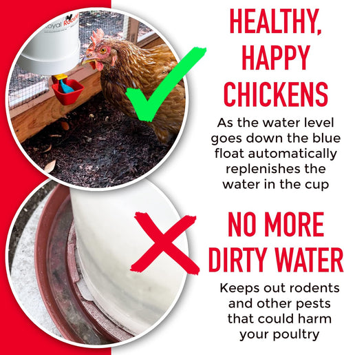 1 Gallon Automatic Chicken Waterer with Gravity-Feed Cup for Indoor and Outdoor Poultry S3919