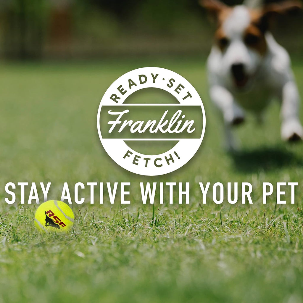 Mini Tennis Ball Launcher for Dogs - Ball Thrower Cannon for Fetch R9185