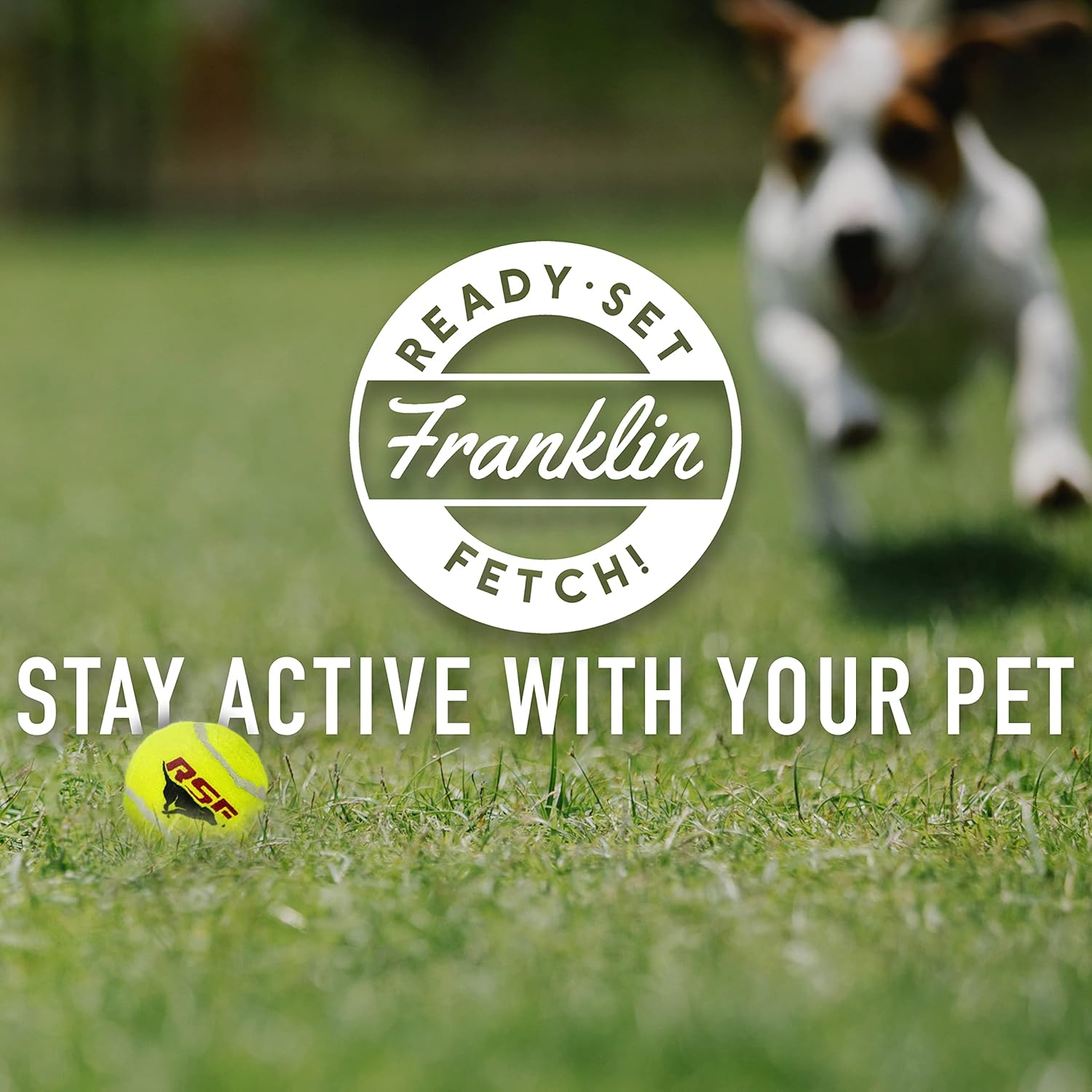 Mini Tennis Ball Launcher for Dogs - Ball Thrower Cannon for Fetch R9185