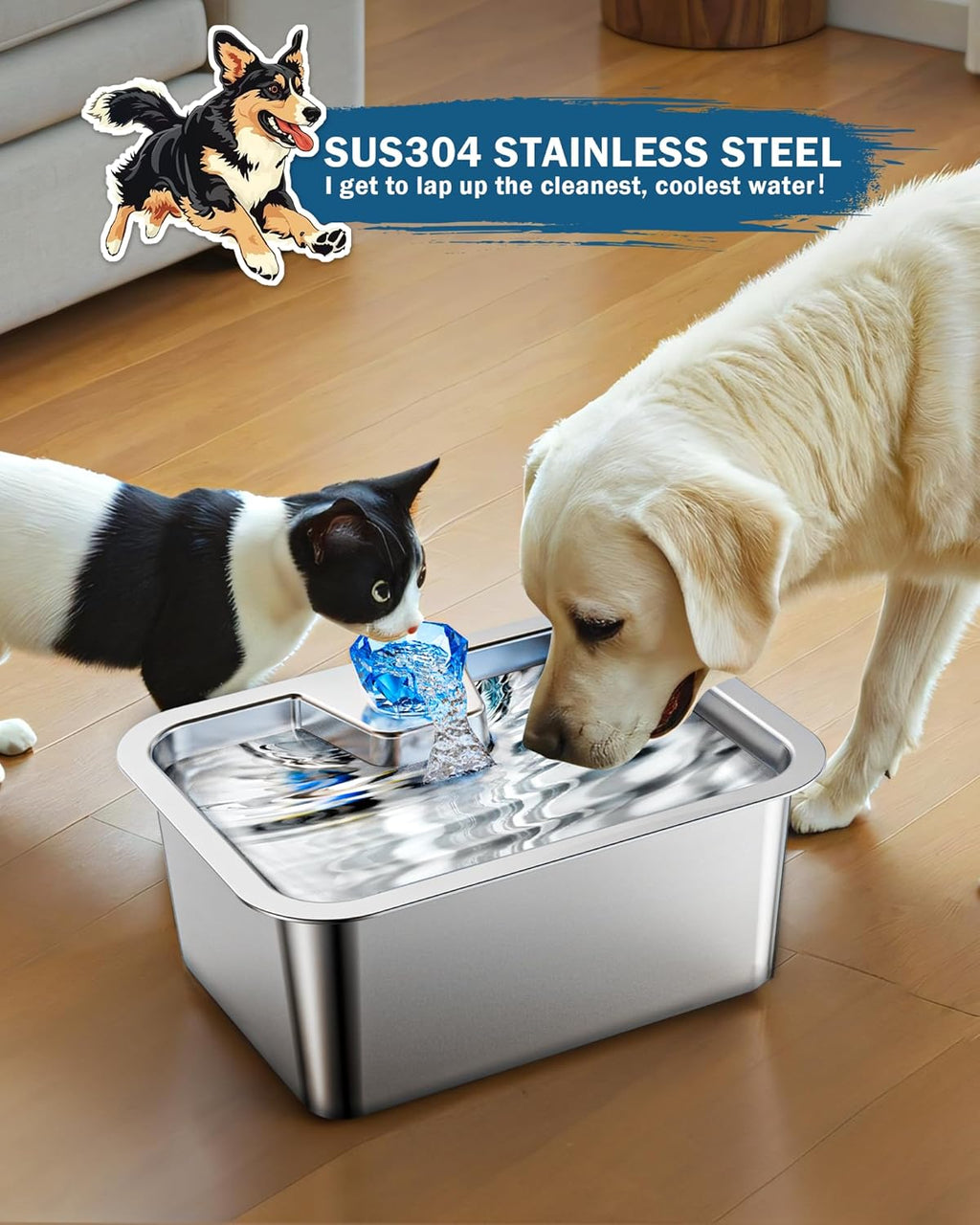 Stainless Steel Dog Water Fountain for Large Dogs, 3 Gallon with 2 Filters E635