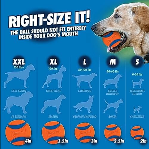 Dog Ball Launcher 14 Inch for Small Dogs C456