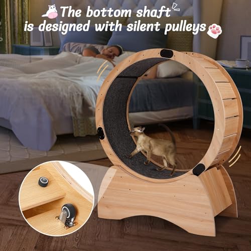 Cat Exercise Wheel - Indoor Wooden Running Wheel for Kitty C405