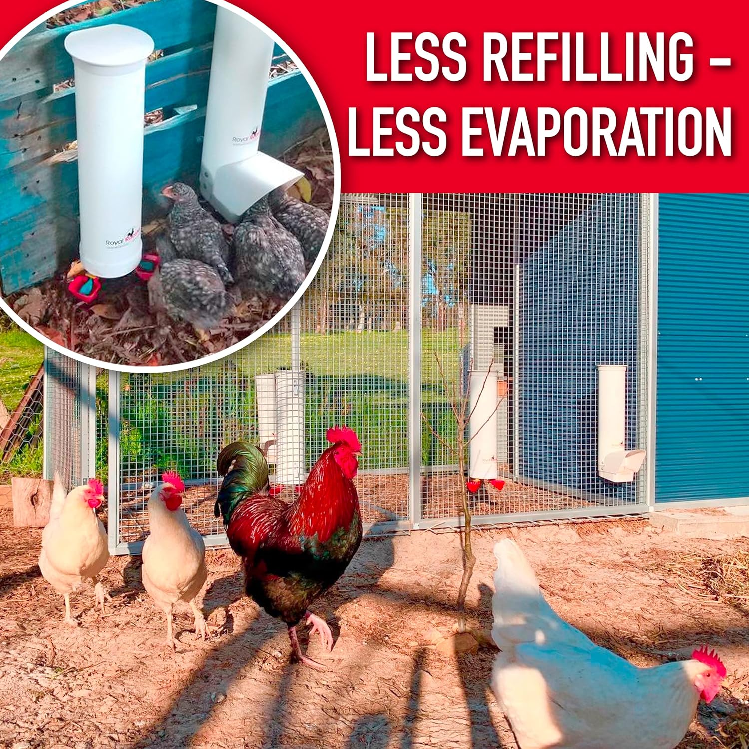 1 Gallon Automatic Chicken Waterer with Gravity-Feed Cup for Indoor and Outdoor Poultry S3919