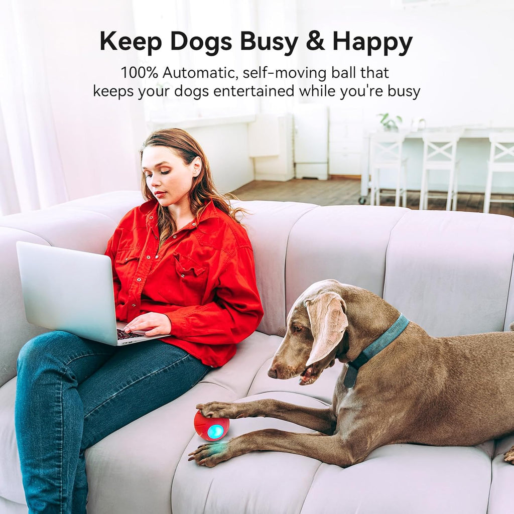 Smart Interactive Dog Toy, Automatic Moving Rolling Ball with LED Lights C106