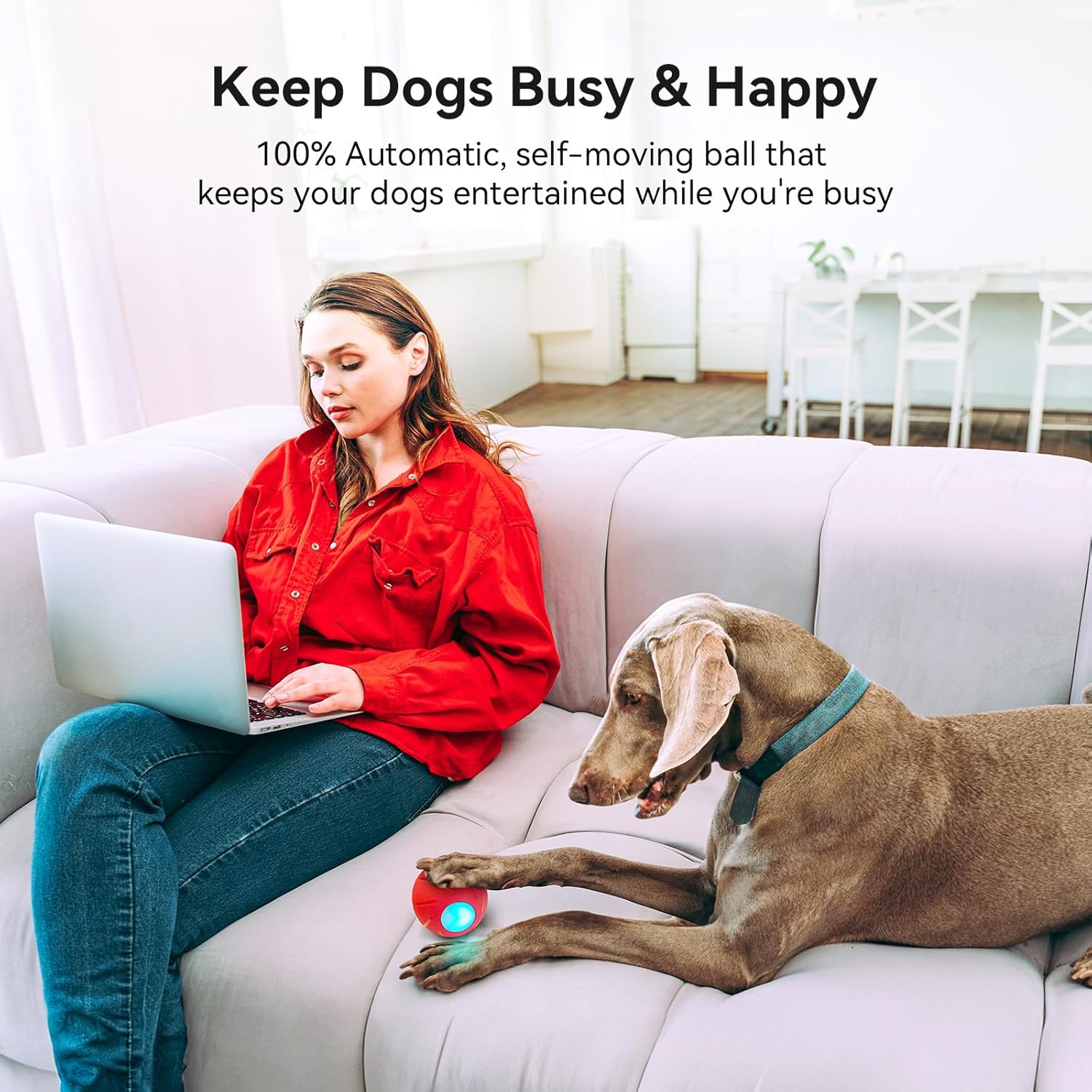 Smart Interactive Dog Toy, Automatic Moving Rolling Ball with LED Lights C106
