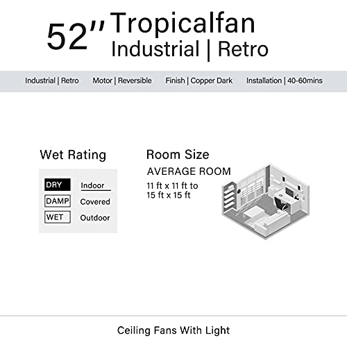 Caged Ceiling Fan with Lights Remote Control, 52" Industrial Black, 5 Reversible Blades L834504