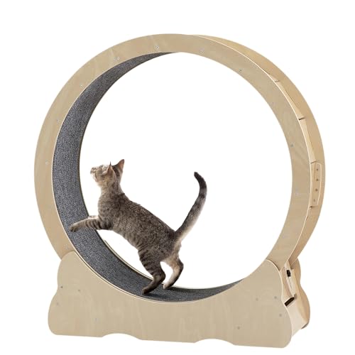 Cat Exercise Wheel - Indoor Treadmill for Cats, Large Wooden Running Wheel for Kitty, Silent and Safe Sports Exerciser with Lock Feature, Natural Wood Color,43.3" L x 13.2" W x 45.9" H