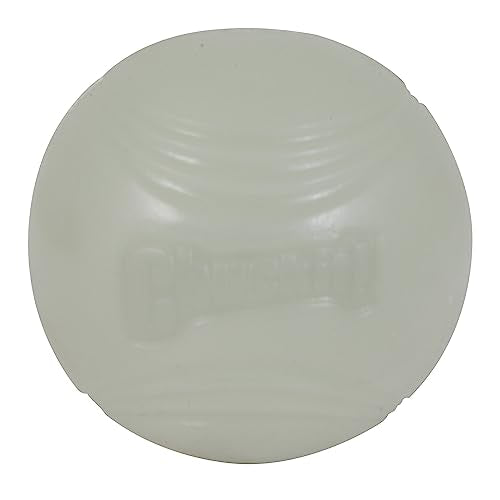 Glow Ball Dog Toy for Large Dogs H44017