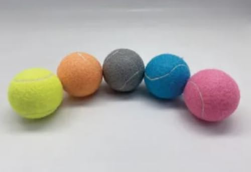 Dog Tennis Balls 2.5" for Exercise and Training with Mesh Bag C5979