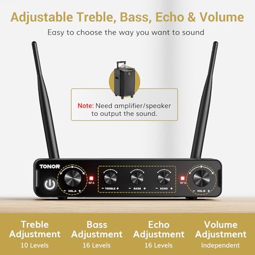 Wireless Microphone System with Receiver for Karaoke and Singing Y613740