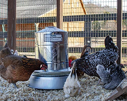 Heated Chicken Waterer Base for Poultry Coop Accessories H531