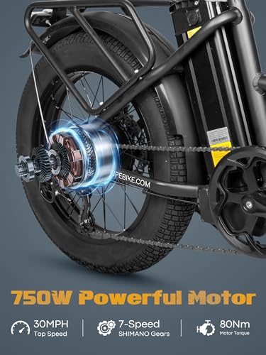Folding Electric Bike for Adults, 750W Motor, 20.8Ah Removable Battery W6936