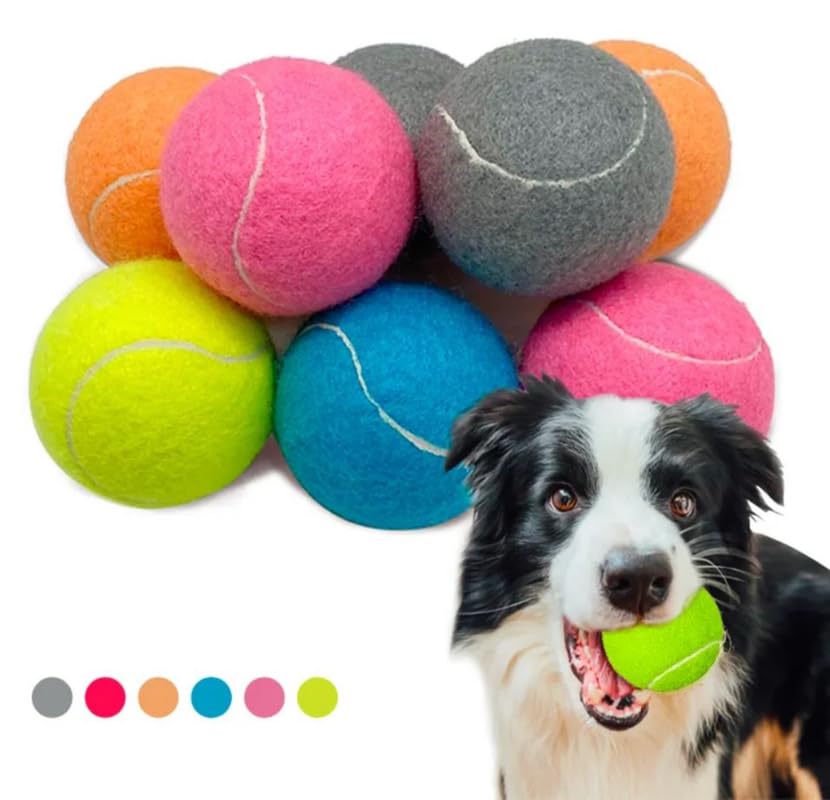 Dog Tennis Balls 2.5" for Exercise and Training with Mesh Bag C5979