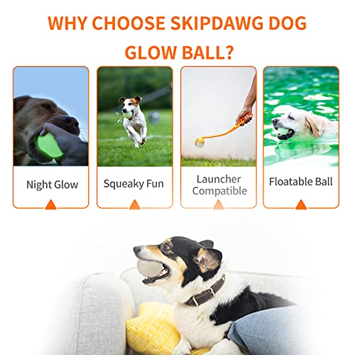 Interactive Squeaky Dog Ball, Glow in Dark, Floating Toy for Dogs R133373