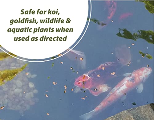 Pond Algae Control - 64oz Algaecide for Fountains & Outdoor Fish Ponds N4077