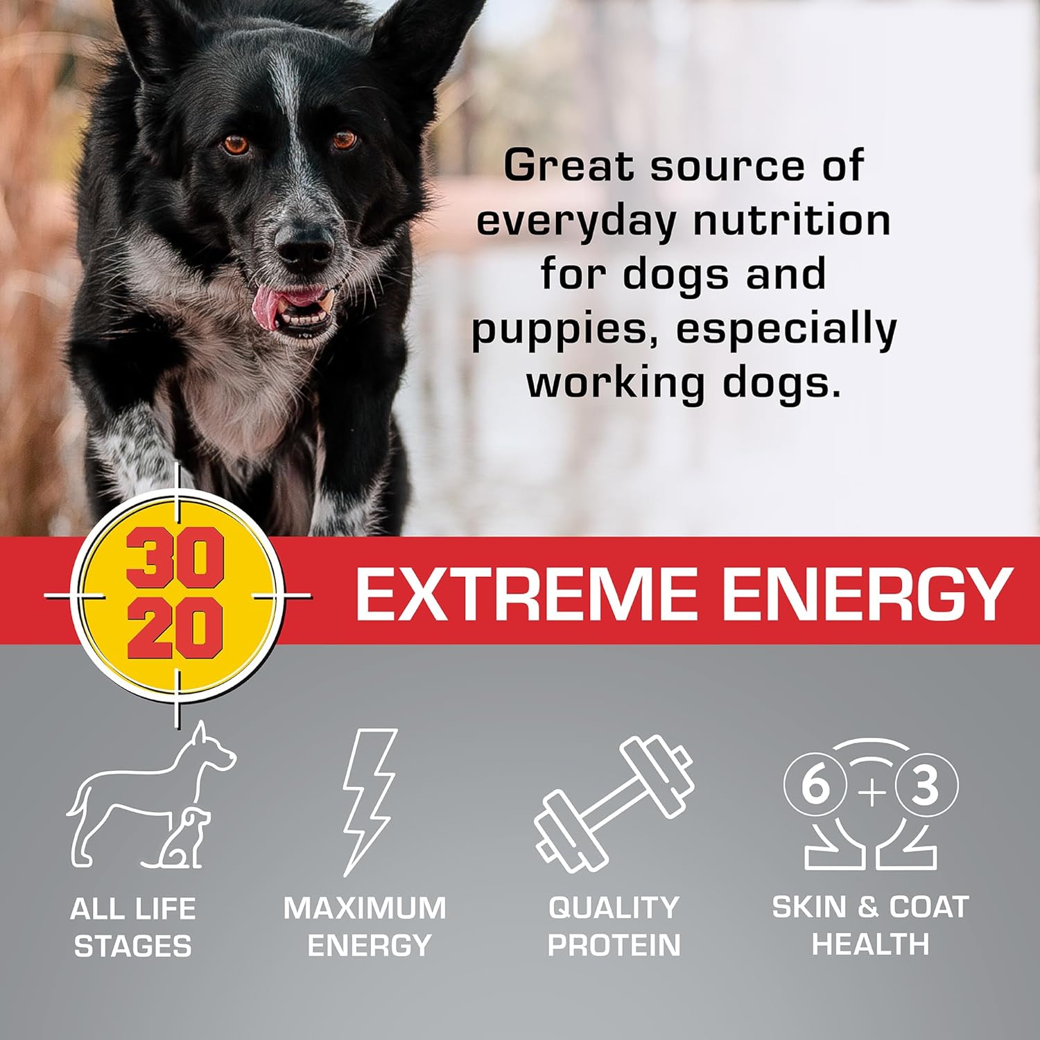 Extreme Energy Dry Dog Food R67499
