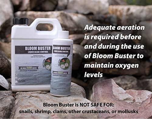 Pond Algae Control - 64oz Algaecide for Fountains & Outdoor Fish Ponds N4077