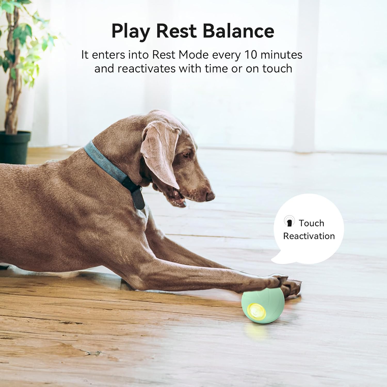 Interactive Dog Toy, Automatic Moving Ball for Medium Large Dogs O834324