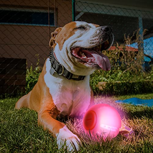 LED Dog Ball, Glowing Interactive Toy with USB Rechargeable A5400