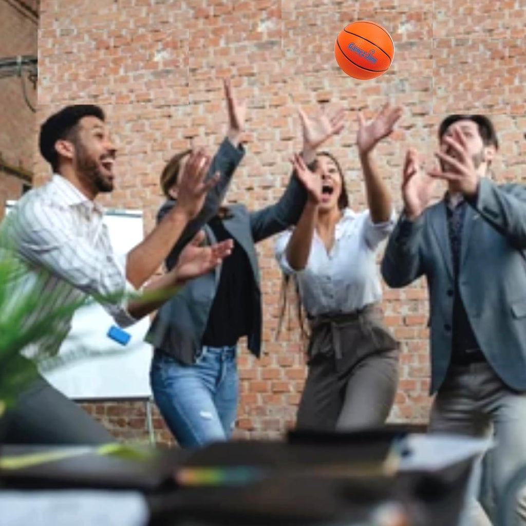 Mini Basketball Hoop for Door with Noise Reduction, 2 Balls and Pump Included P589