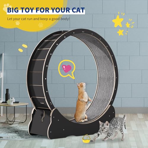 Cat Exercise Wheel for Indoor Cats with Anti-Scratch Pads S26607