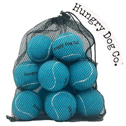 12 Pack of Premium Dog Tennis Balls 2.5" - Pet Safe Dog Toys for Exercise and Training. Bouncy and Durable for Hours of Fun - Reusable Mesh Bag for Carrying and Storage - Blue