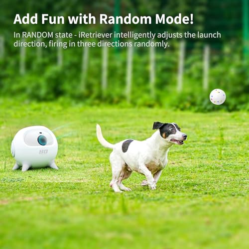 Dog Ball Launcher with 4 Balls for Medium & Large Dogs A788343